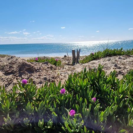207 Cap D'Agde Naturiste Grand T2 De Standing Avec Garage Exteriör bild